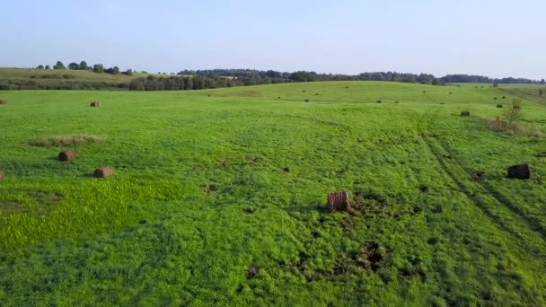 Kleiner Sumpf inmitten der Wiesen. Luftaufnahme — Stockvideo
