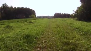 Tekerlek izleri ile orman çim sahada