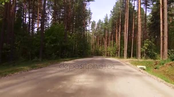 Weg voor de auto's ligt tussen de hoge bomen gemengd bos — Stockvideo