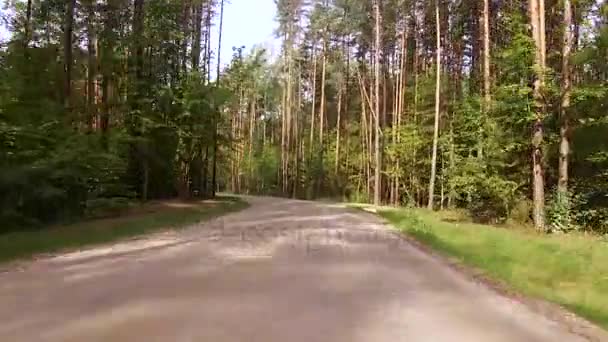 Conducir un coche en una carretera forestal desierta — Vídeo de stock