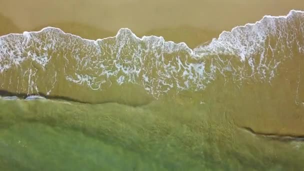 Des vagues océaniques explosives sur une plage tropicale dorée. Relevé aérien — Video