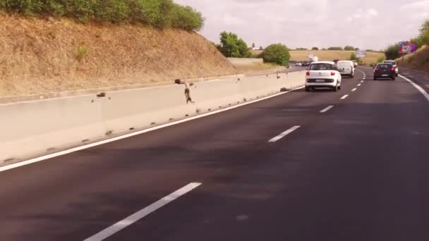 5 septiembre 2017: Roma, Italia. El coche está en la carretera — Vídeo de stock