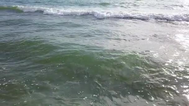 空中を流れる風によって迫害の到来波の撮影。スローモーション — ストック動画