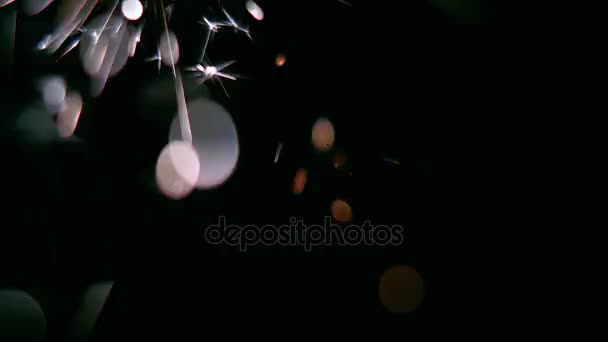 Bengal light burns with sparks. Black background. Close up — Stock Video