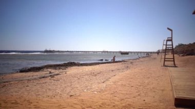 İnsanlar tatilde deniz kabuklarını plaj ve al güneş banyoları toplamak.