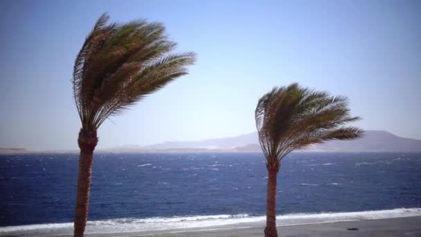 海は荒れて風から、残りの部分のためにだけ海岸の日当たりの良い天気、波を破っています。 — ストック動画