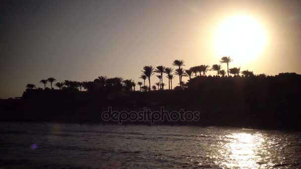 Pôr do sol na praia ao redor do oceano e palmeiras — Vídeo de Stock