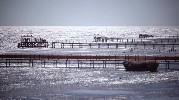 Ludzie stoją w doku w pobliżu otwartego oceanu — Wideo stockowe