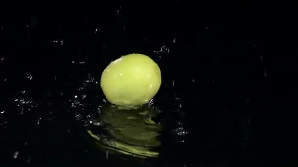 Lemon falls into the water. Black background. Slow motion — Stock Video