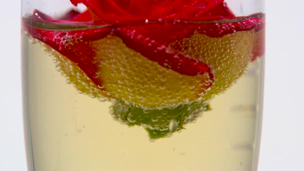El capullo de rosa roja yace en una copa de champán. Fondo blanco. De cerca. — Vídeo de stock
