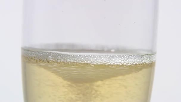 Närbild av ett glas champagne. Vit bakgrund. Närbild — Stockvideo