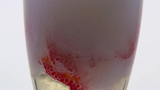 Rosebud dans un verre rempli de champagne. Fond blanc. Gros plan — Video