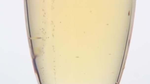 Le bouton de rose rouge se trouve dans une coupe de champagne. Fond blanc. Gros plan 