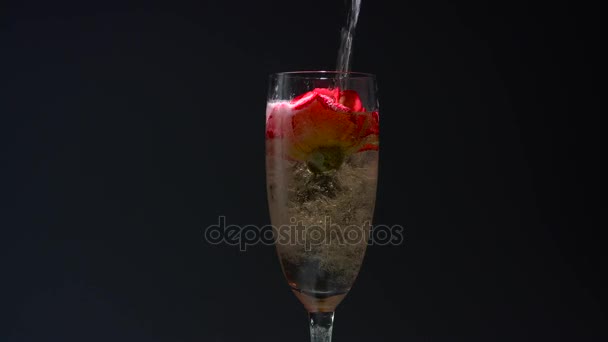 Rosebud aan de onderkant van het glas, de ober giet champagne in het. Zwarte achtergrond — Stockvideo