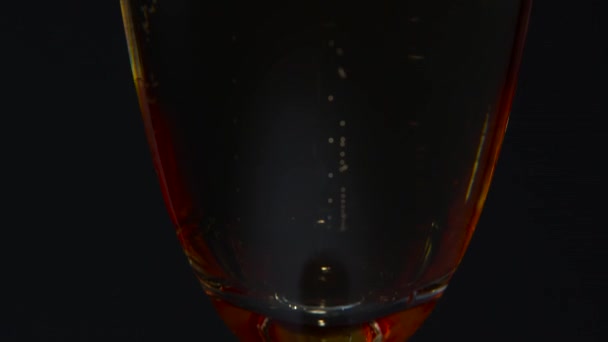 Bubbles from champagne in a glass with a rosebud. Black background. Close up — Stock Video