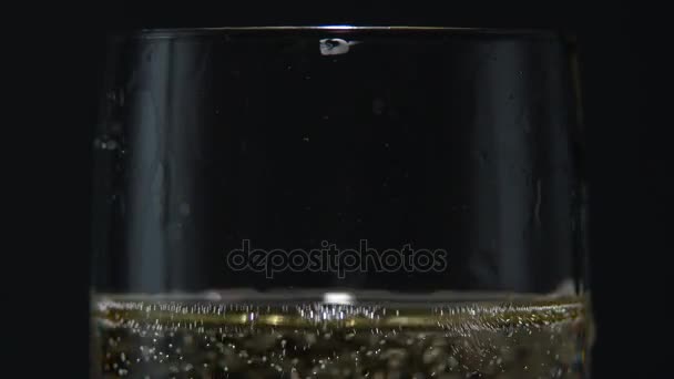 スパーク リング シャンパン グラスの中の緋薔薇のつぼみ。黒の背景。クローズ アップ — ストック動画