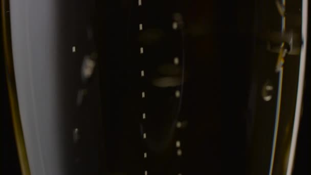 Κοντινό πλάνο της ένα ποτήρι σαμπάνια. Μαύρο φόντο — Αρχείο Βίντεο