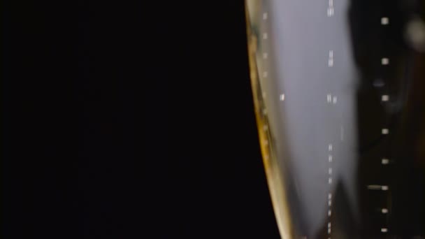 Nahaufnahme von einem Glas Champagner. schwarzer Hintergrund — Stockvideo