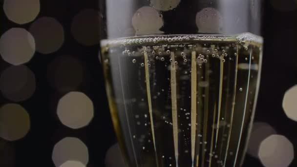 Close up of a glass of champagne. Bokeh background. Close up — Stock Video