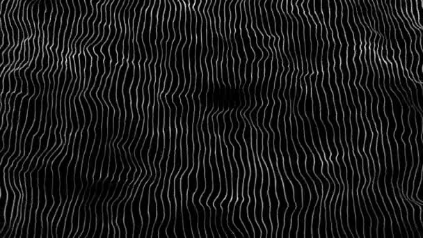 Abstract with curves moving white lines on black background — Stock Video