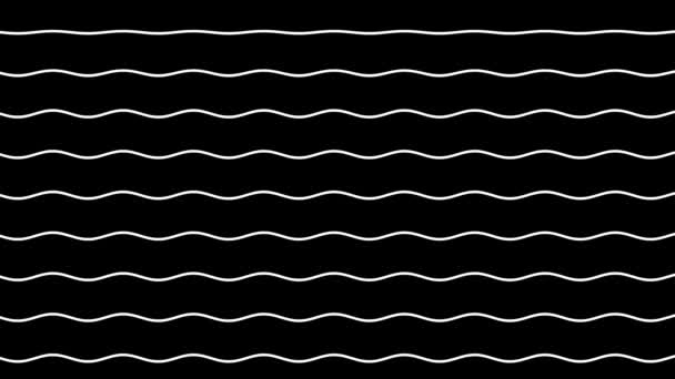 Las líneas blancas onduladas se mueven sobre un fondo negro — Vídeo de stock