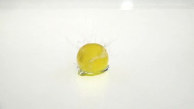 Bütün limon suya düşer. Beyaz arka plan. Ağır çekim