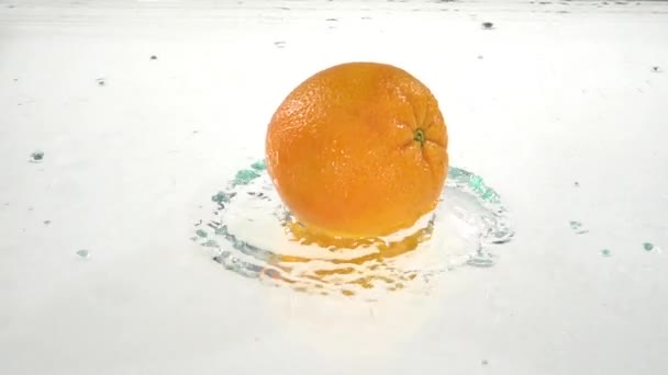 Whole orange drops into the water. White background. Slow motion. Close up — Stock Video