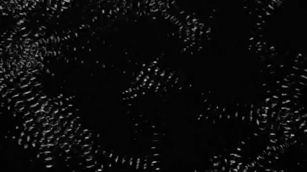 Vibrations sonores représentant une forme abstraite de l'eau. Fond noir. Mouvement lent 