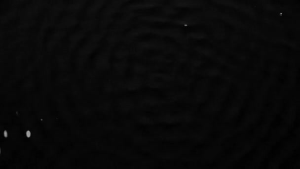 水面にサブウーファーの振動のグラフィック イメージ。黒の背景。スローモーション — ストック動画