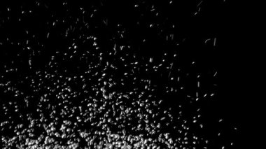 Metal topları kadar uçmak gibi su bırakır. Siyah arka plan. Ağır çekim