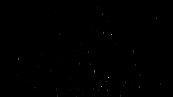 Salpicaduras de gotas de lluvia. Fondo negro. Movimiento lento — Vídeo de stock