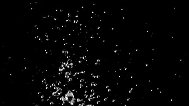 Des éclaboussures d'eau et des gouttelettes tombent. Fond noir. Mouvement lent 