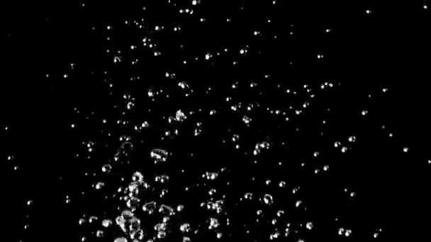 Σταγόνες νερού που εκτοξεύεται στην επιφάνεια του νερού. Μαύρο φόντο. Αργή κίνηση — Αρχείο Βίντεο