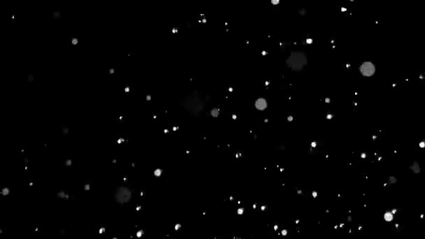 jet de pulvérisation des gouttes de fontaine d'eau soulèvent. Fond noir. Mouvement lent 