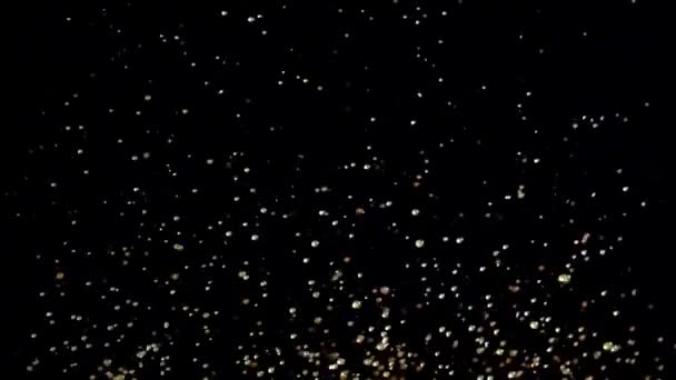 Jet spray de la fontaine des gouttes multicolores d'eau soulèvent. Fond noir. Mouvement lent 