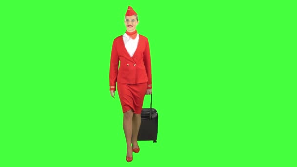 La hostess cammina e fa rotolare la valigia. Schermo verde — Video Stock