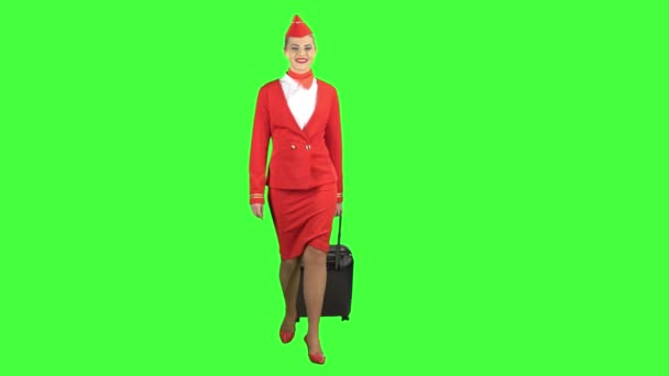 Αεροσυνοδός περιπάτους και κυλά τη βαλίτσα. Πράσινη οθόνη — Αρχείο Βίντεο
