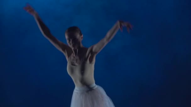 Bailarina graciosa em tutu realizando balé. Fechar câmera lenta . — Vídeo de Stock