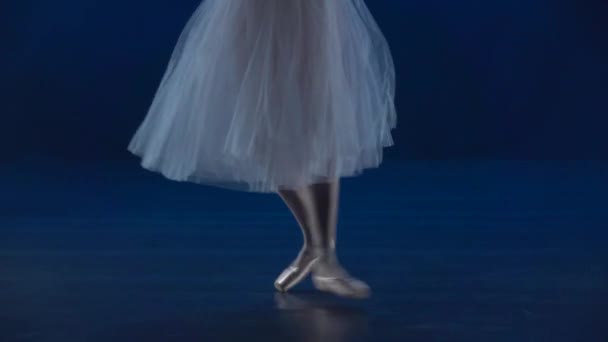 Ballerinas Beine in Spitzenschuhen führen Ballett auf. Zeitlupe in Nahaufnahme. — Stockvideo