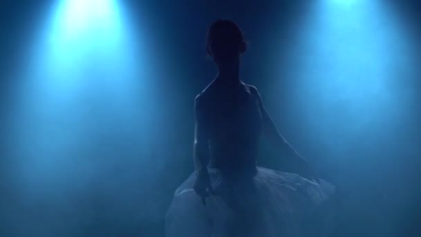 バレリーナのシルエットがバレエを上演します。スローモーションを閉じます. — ストック動画