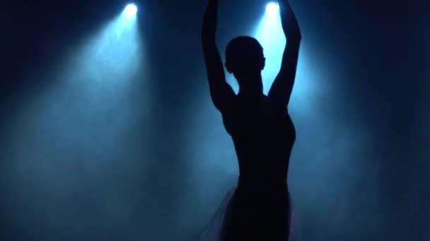 Silhouette of ballerina dancing classical ballet elements. Close up slow motion. — Stock Video