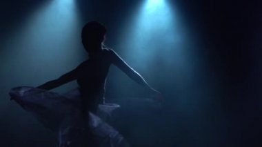 Çekici balerin klasik bale unsurlarıyla dans ediyor. Ağır çekimde kapat.