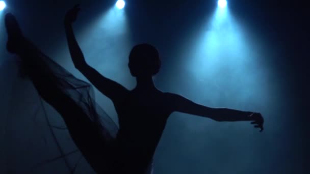 노련 한 발레리나는 고전 발레의 요소들을 춤추죠. 슬로우 모션을 닫습니다.. — 비디오