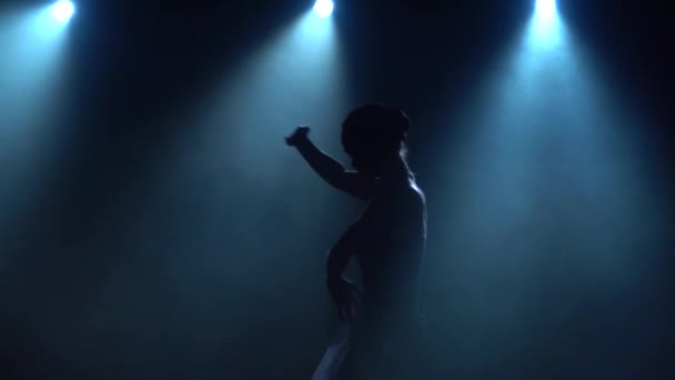 Bailarina dançando elementos clássicos de balé. Fecha, câmara lenta. . — Vídeo de Stock