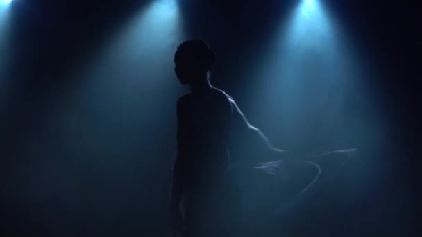 Ballerina danst klassieke ballet elementen. Close up, slow motion. — Stockvideo