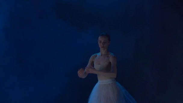 투투 에서 발레를 하는 매력적 인 발레리나. 슬로우 모션을 닫습니다.. — 비디오
