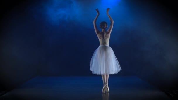 Bailarina deslumbrante en tutú blanco realizando ballet clásico. Movimiento lento . — Vídeo de stock