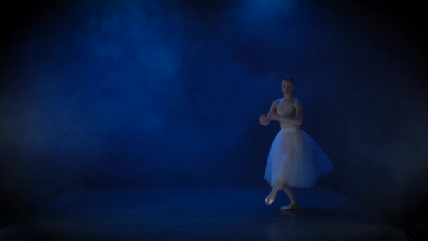 Linda bailarina en tutú blanco realizando ballet clásico. Movimiento lento . — Vídeos de Stock