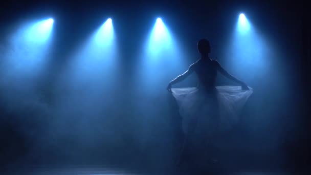Graciös ballerina i vit tutu dansande klassisk balett. Långsamma rörelser. — Stockvideo