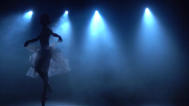 Elegant ballerina i vit tutu dansande klassisk balett. Långsamma rörelser. — Stockvideo